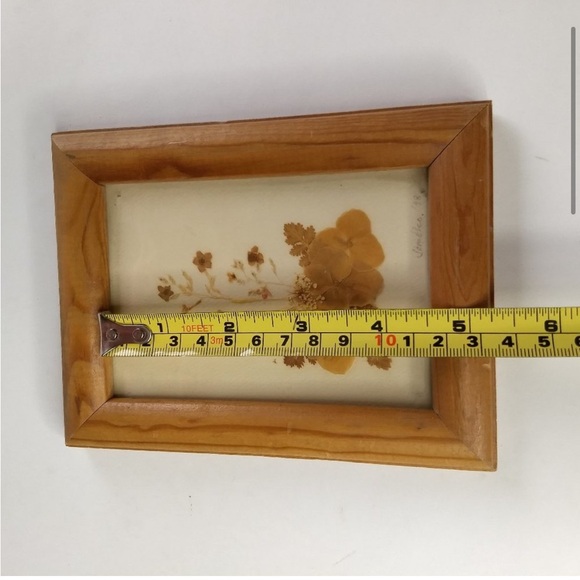 Pressed Flower Framed Wall Art 1998 Artist
Signed Floral Decor - Picture 12 of 12